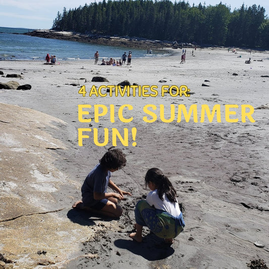 Summertime Adventures: Unleashing the Fun! - Tulsie